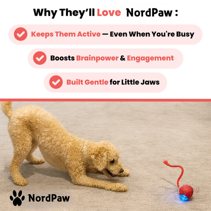 NordPaw™ - Speedy Tail 2.0